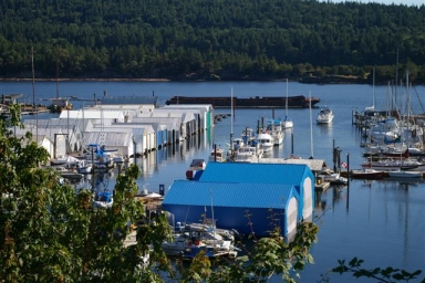 2008 Aug Fraser Squadron Cruise Ladysmith Maritime Society Marina-smalljpg